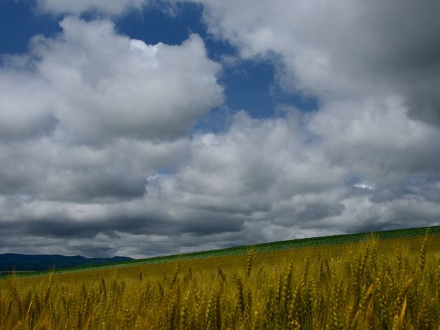 FɌ锞ɐfGȔľił_pm}[h