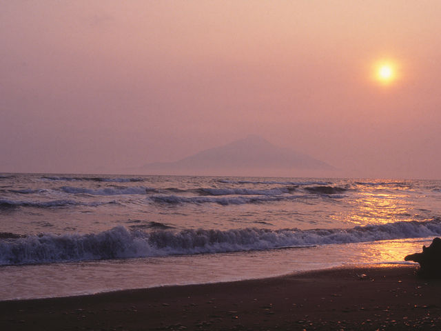 ���K�[�i_�m�V���b�v��