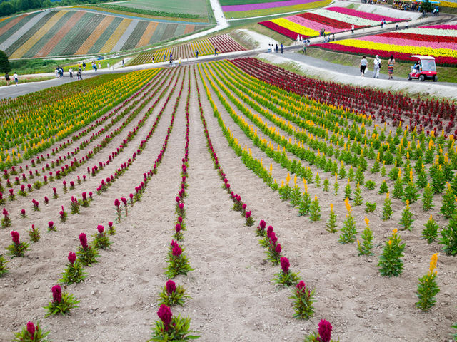 �F�ʂ̋u�@�����ł��B_�l�G�ʂ̋u