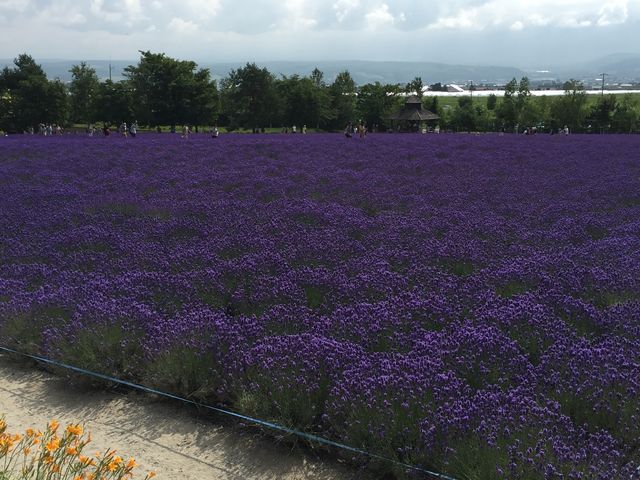 �����͂V���݂̂ł́H_���x���_�[��