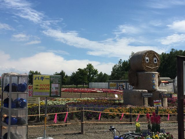 ������t��_�l�G�ʂ̋u