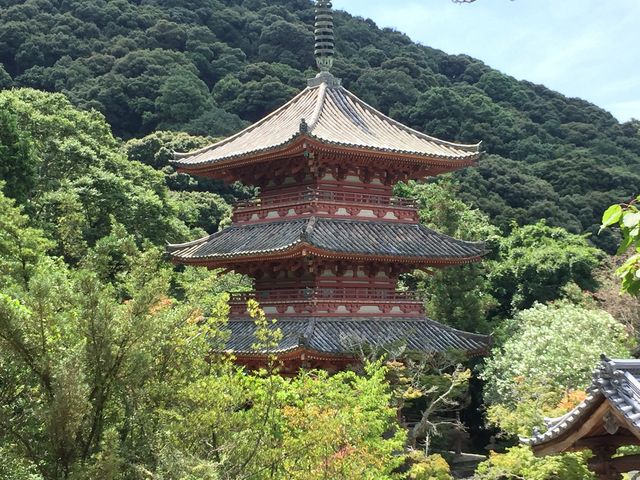 �O�d�����C�C�����ł�_���R��