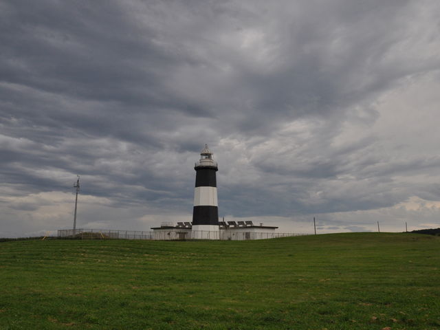 �C���������Ƃ���ł��B_�\�斦�C��