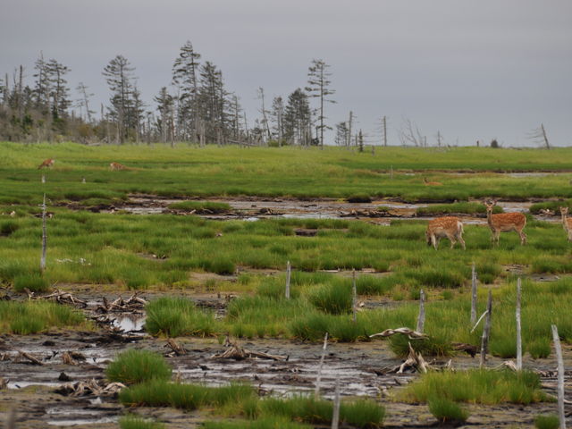 ���R�������ς��B_�t����