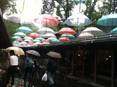 ݂̌y򐯖GA@njeXւ̓eʐ^1