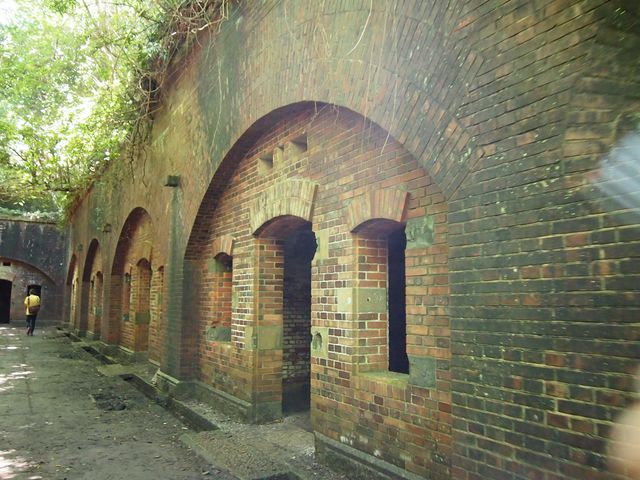 �����{���̊�n�H_�F�P��