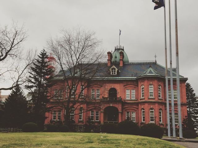 ���̎ʐ^�́A��N�H�ɎB�������̂ł��B�ẮA�΂��΂�܂��B_�k�C�������{����(�Ԃ�񂪒���)