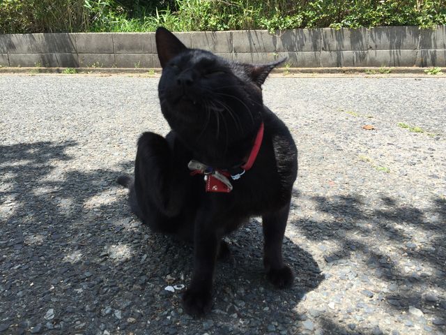 ����_����