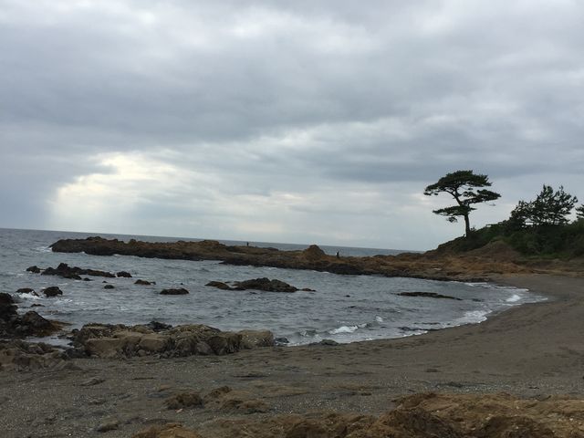 �V�C�����������E�E�E_���Ό���