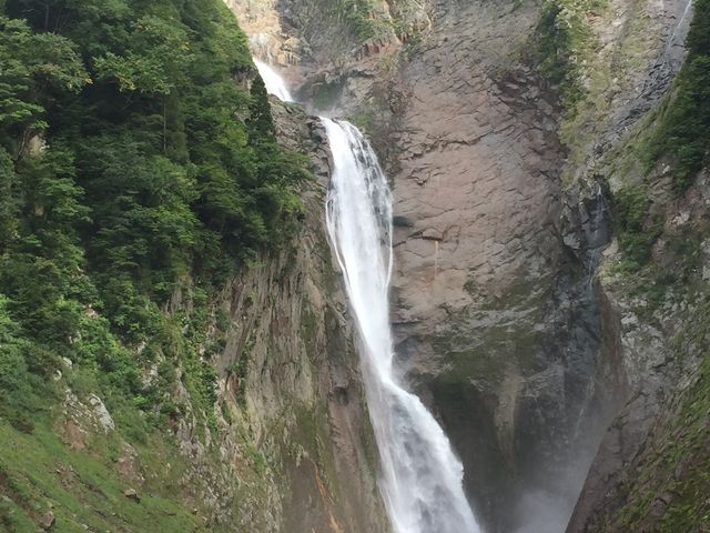 �̖���A������B�e
_�̖���