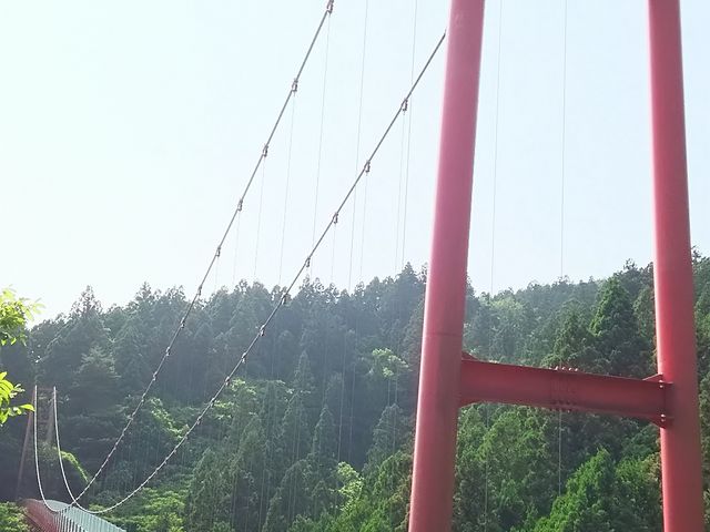 �����i�F���Y��ł��B_��ᓰ�݂苴