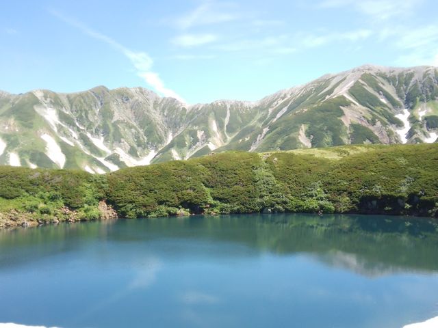 �݂��肪�r_�݂��肪�r