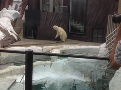 ��쓮�����̎ʐ^2