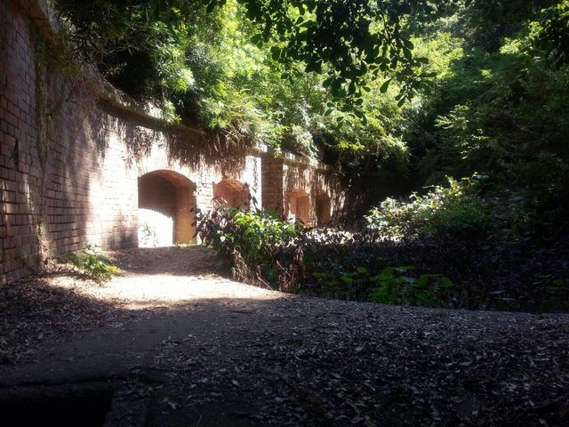 �i�F�@_�F�P��