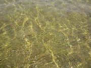 Ȃ̈ɉCuRX^EfE\v̓eʐ^4