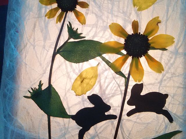 CgƁAĉԂɂȂ܂_LnH|