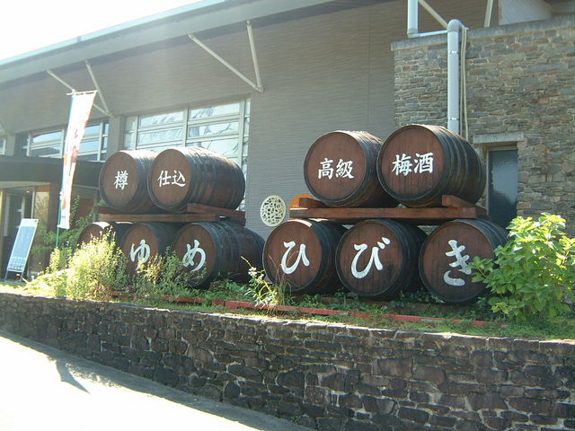 �O��_�~�𑠂������