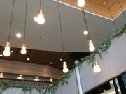 NbV[̃T}NJtFޗǊDCAX̓eʐ^2