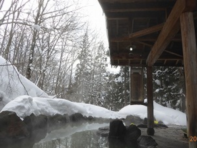 ��茧�������򋽁E�I�ꉷ��i�I�V���C�j_�I�ꉷ��i�������򋽁j