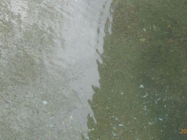 ��茧�������򋽁E�I�ꉷ��i�I�V���C�j_�I�ꉷ��i�������򋽁j