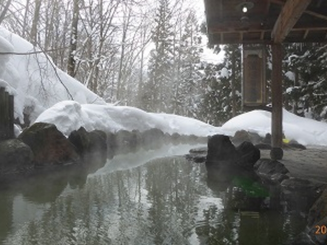 ��茧�������򋽁E�I�ꉷ��i�I�V���C�j_�I�ꉷ��i�������򋽁j