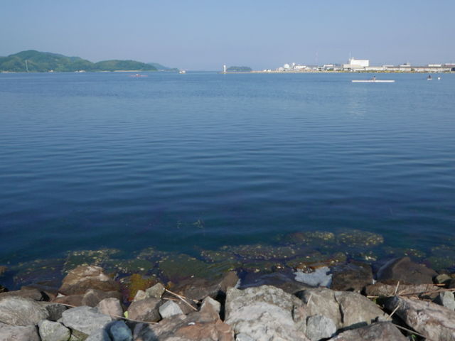 �ь������̒��C�ł��I
�G�C���j���ł��܂����I_�Ďq���