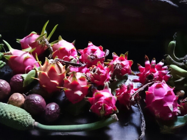 �썑�̉ʕ��𖡂킦�܂��B_���v���t���[�c�K�[�f���i�p�p�C���̗��j