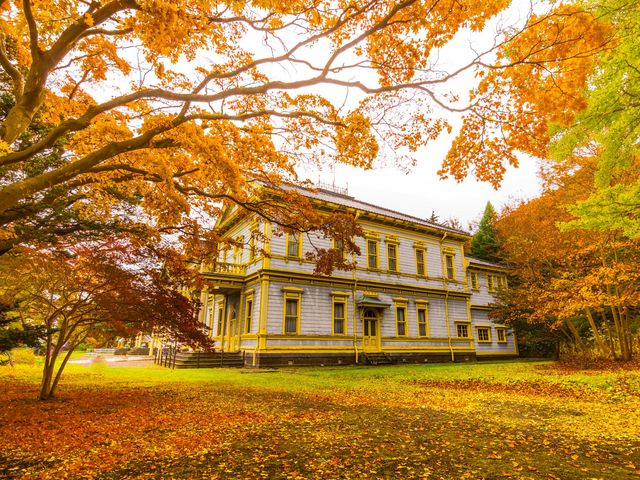 gt̒̌Bvõ}[j[̐EłˁB_ً