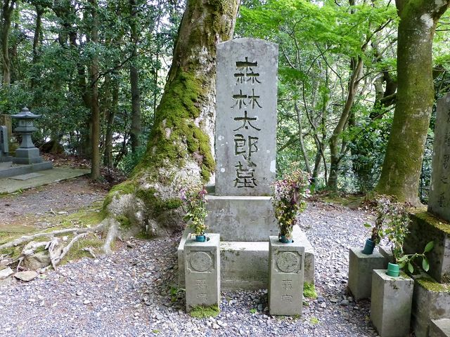 �u�X�ё��Y�v���_�X���O�揊