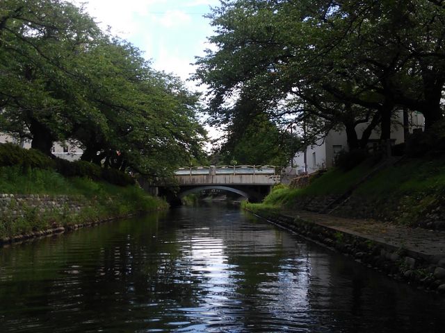 �����L���C�ł����I_����V���D