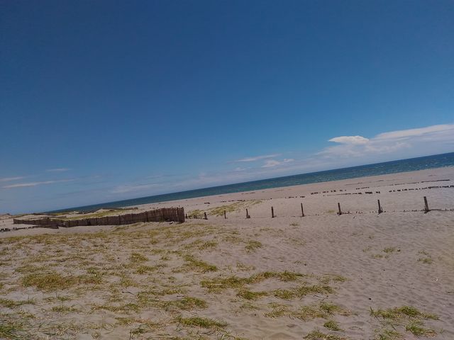 ���c�����u