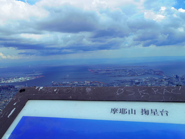 ����_�d����