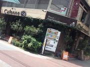 Ƃ񂿂񂳂̑ݐ؃_CjOo[&JtF JtF[k  ~c̓eʐ^1