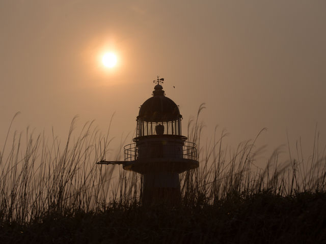 �ϒO�o������B
���Y����֍s���r���ɂ���܂��B
�ƂĂ����͋C�̂�������ł��B_�����ӊC��