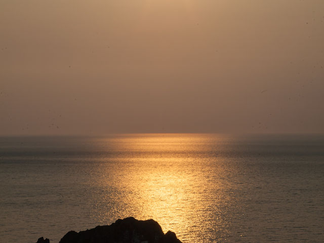 �����ӊC�݁B
�[�����f���炵���������ł��I�I_�����ӊC��