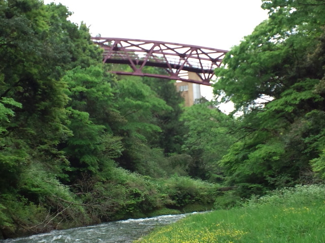 ��ӂ���_����Ƃ�͂�