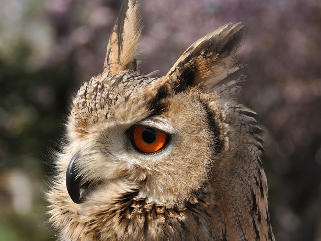 ���V�~�~�Y�N�ƍ��B
5����GW�ɍs���΁A���o�b�N�ŎB��܂��I_�~�R������