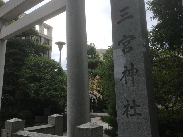 �O�{�_��_�O�{�_��