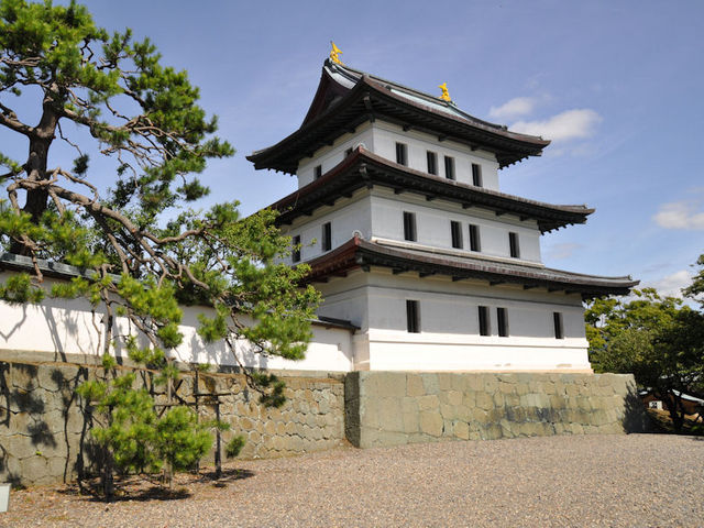 �������������o���Ă��܂�_���O��