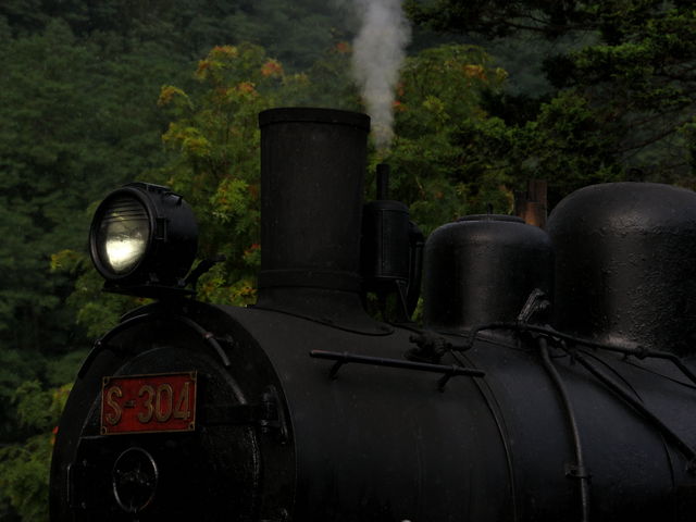 �܂��܂������IS-304_�O�}�S���L�O��