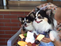 Â낤̍t[chւ̓eʐ^1