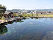 }񂳂̖R[ےrN̓eʐ^1