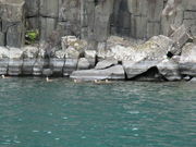 ~X^[oUC̏\ac΃}Eu[̓eʐ^4