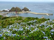 }bN̗򖦊όē̓eʐ^13