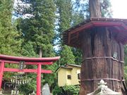 ꂨ񂳂̖q̐_㐙̓eʐ^2