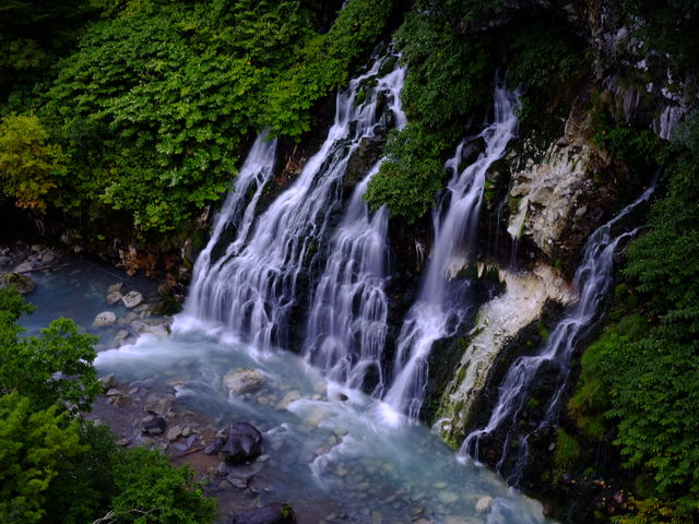 �Ă͗ΖL��_���Ђ��̑�