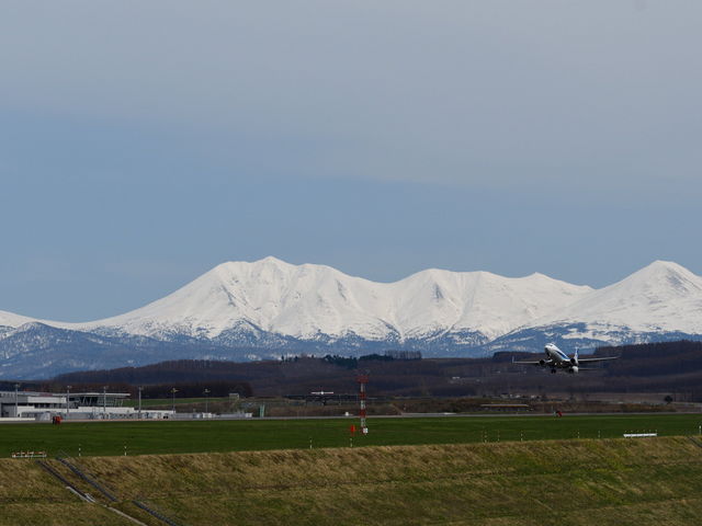 �I�v�^�e�V�P�R�o�b�N�������`�B5���͎c�Ⴊ�����܂��B_�I�v�^�e�V�P�R