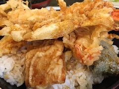 ͂N̂H@Ƃ{Xւ̓eʐ^1