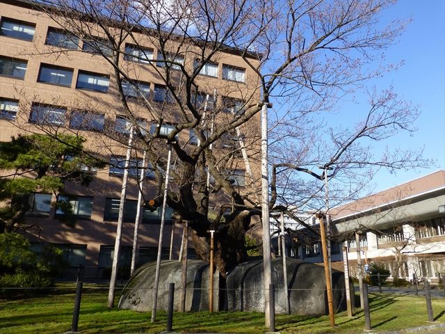 �Ί���_�Ί���