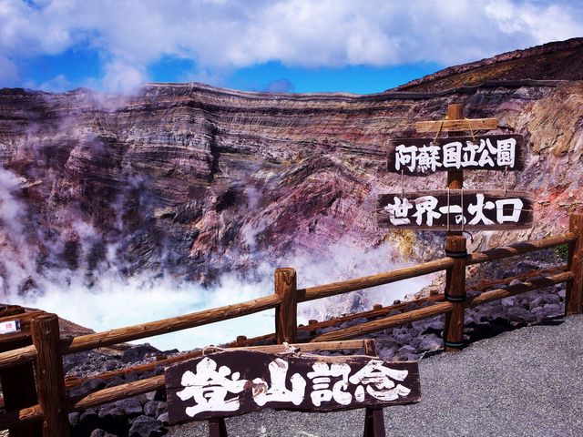 D񂳂̈hRhCuC̓eʐ^2